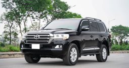 Toyota Land Cruiser 200 VX 2020